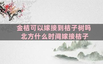 金桔可以嫁接到桔子树吗 北方什么时间嫁接桔子